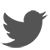 Twitter white